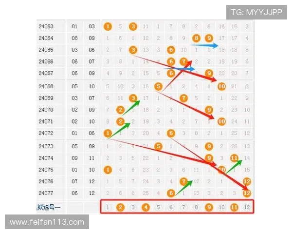 大乐透开奖走势深度分析与未来预测